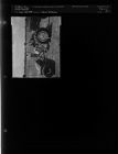Farm pictures (1 Negative) (June 23, 1954) [Sleeve 57, Folder c, Box 4]